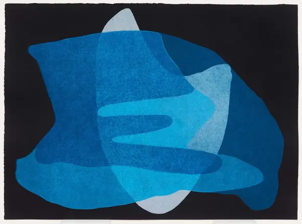 24 Affections (detail 5), monoprint, 2019. Photo: Sean Weaver.