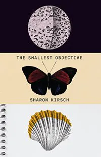 Sharon Kirsch, The Smallest Objective (New Star Books)