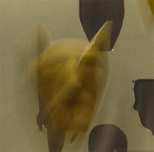 Repatriation Series 5